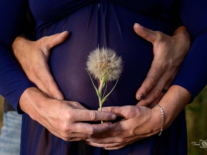 Maternity Session